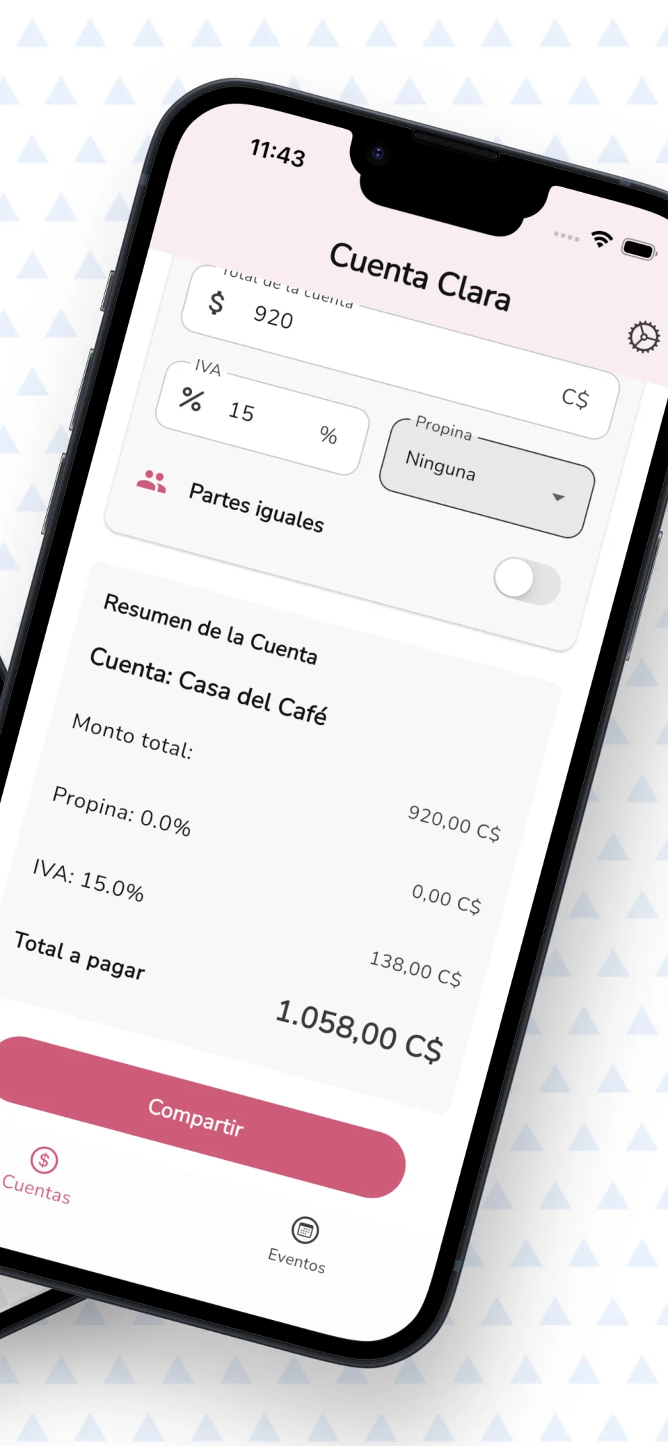 Pantalla de resumen de la cuenta mostrando datos y detalles de los gastos